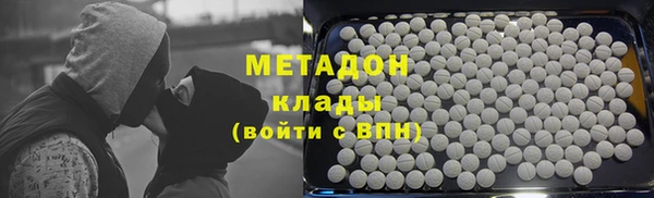 индика Аркадак