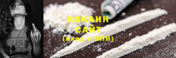 индика Аркадак