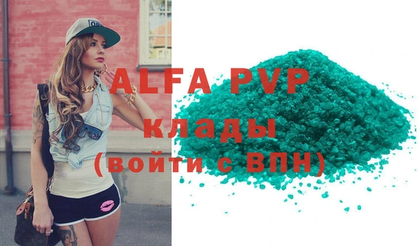 индика Аркадак