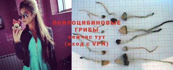 МДПВ Армянск