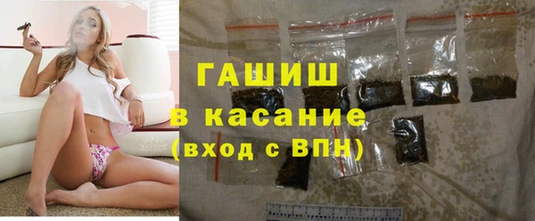 индика Аркадак