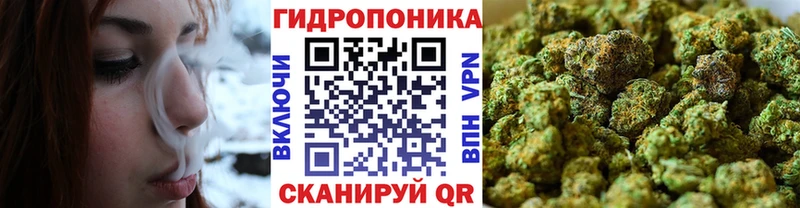 где можно купить наркотик  Барабинск  Шишки марихуана OG Kush 